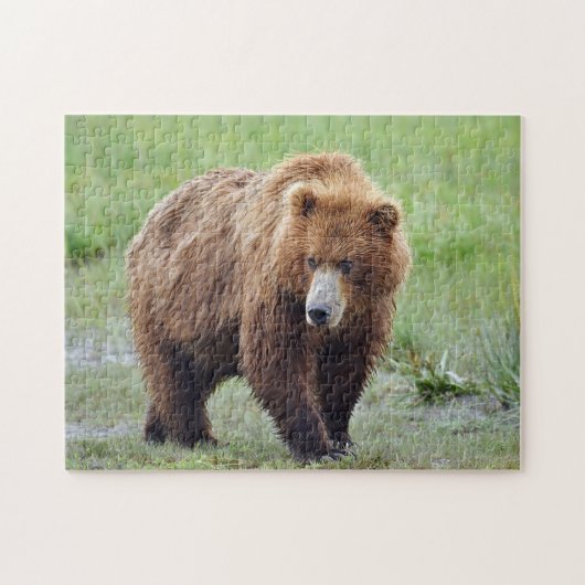 Puzzle of grizzly beer legpuzzel (Horizontaal)
