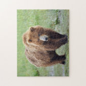 Puzzle of grizzly beer legpuzzel (Verticaal)