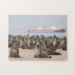 Puzzle of Seal Colony voor Ship Legpuzzel