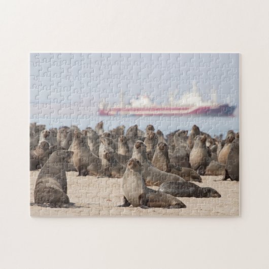 Puzzle of Seal Colony voor Ship Legpuzzel (Horizontaal)