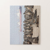 Puzzle of Seal Colony voor Ship Legpuzzel (Verticaal)
