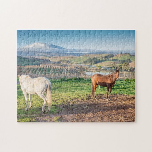 Puzzle of Two Arabian Horses Legpuzzel (Horizontaal)