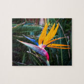 Puzzle Oiseau du Paradis - PHOTO Legpuzzel (Horizontaal)