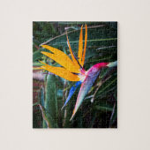 Puzzle Oiseau du Paradis - PHOTO Legpuzzel (Verticaal)