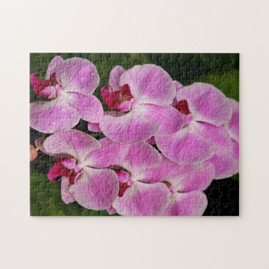 Puzzle - Orchid Legpuzzel (Horizontaal)