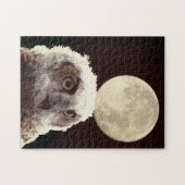 Puzzle - Owl en maan Legpuzzel (Horizontaal)