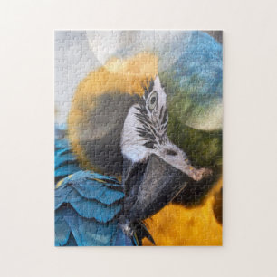 Puzzle Parrot Color Bird Legpuzzel