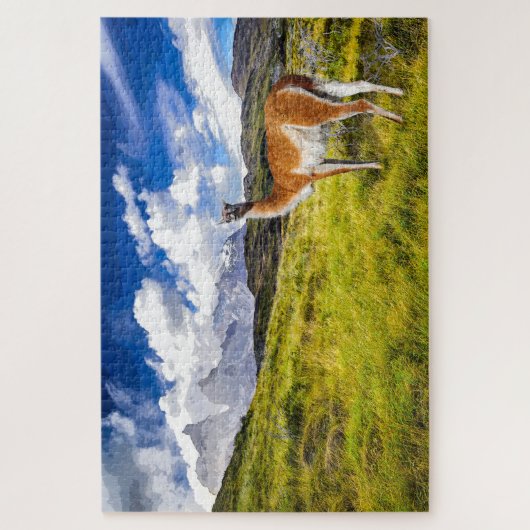 Puzzle Patagonia Legpuzzel (Verticaal)