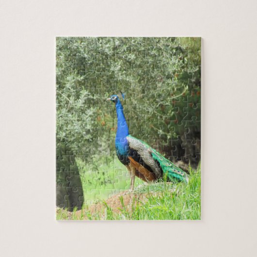 Puzzle - Peacock op the Hill Legpuzzel (Verticaal)