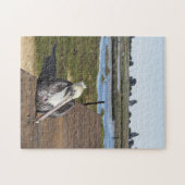 Puzzle - Pelican op pier in Marsh Legpuzzel (Horizontaal)