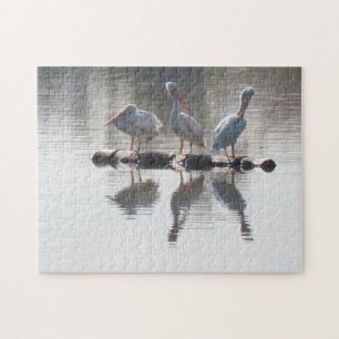 Puzzle - Pelikanen en reflecties Legpuzzel