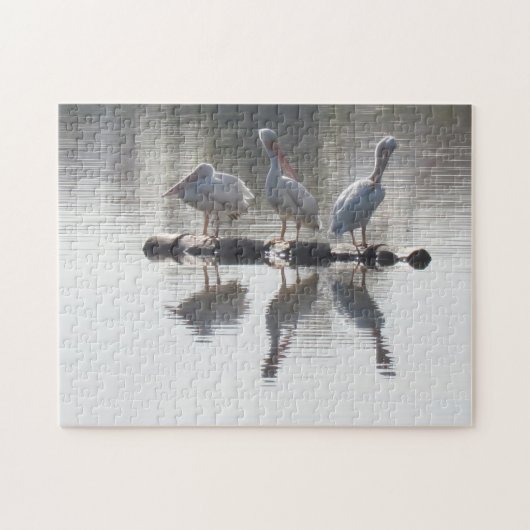 Puzzle - Pelikanen en reflecties Legpuzzel (Horizontaal)