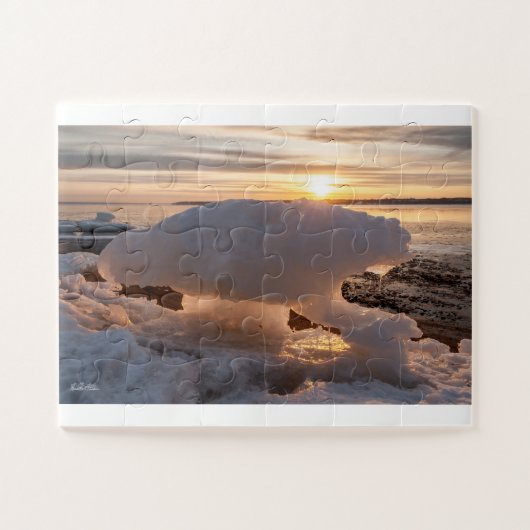 Puzzle photo glace en forme d'ours legpuzzel (Horizontaal)