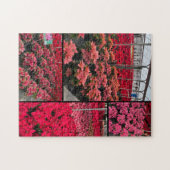 Puzzle Poinsettia Greenhouse Red Flowers Legpuzzel (Horizontaal)