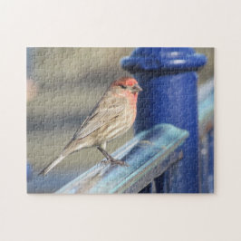 Puzzle - Red Sparrow op Blue Fence Legpuzzel