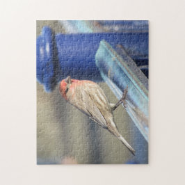 Puzzle - Red Sparrow op Blue Fence Legpuzzel