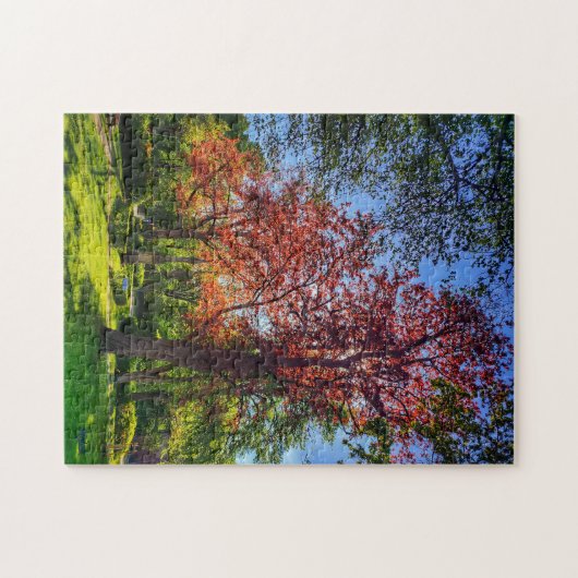 Puzzle “Rincón de luz – Einbeck en primavera” Legpuzzel (Horizontaal)