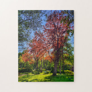 Puzzle “Rincón de luz – Einbeck en primavera” Legpuzzel