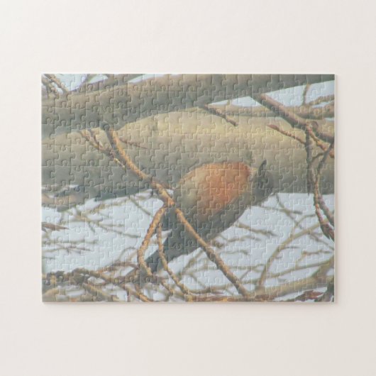 Puzzle - Robin in Tree Legpuzzel (Horizontaal)
