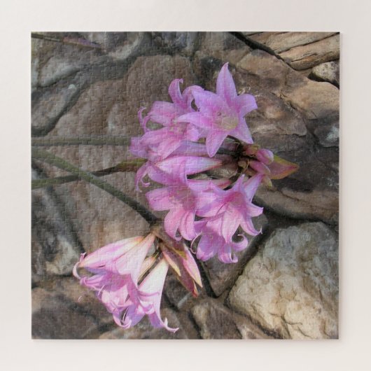 Puzzle - Roze Amaryllis Legpuzzel (Horizontaal)