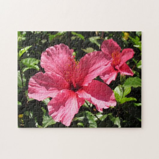 Puzzle - Roze Hibiscus Blossom (2) Legpuzzel (Horizontaal)