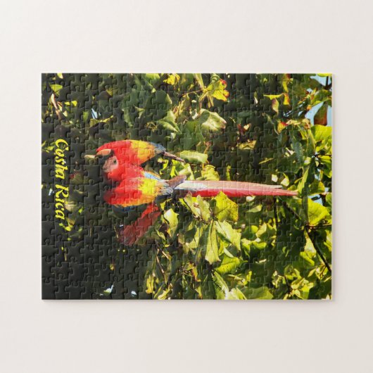 Puzzle Scarlet Macaw Legpuzzel (Horizontaal)