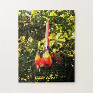 Puzzle Scarlet Macaw Legpuzzel