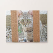 Puzzle - Tabby Kitten door Railing Legpuzzel (Horizontaal)