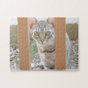 Puzzle - Tabby Kitten door Railing Legpuzzel