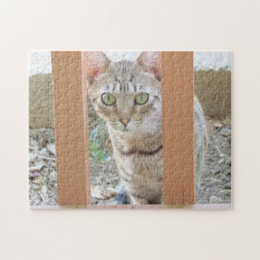 Puzzle - Tabby Kitten door Railing Legpuzzel (Horizontaal)