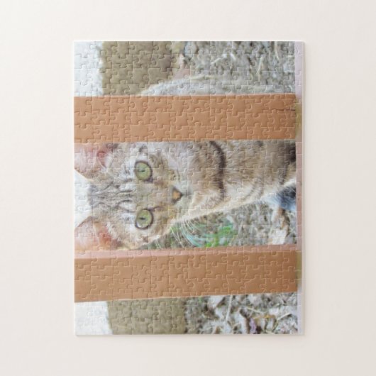 Puzzle - Tabby Kitten door Railing Legpuzzel (Verticaal)