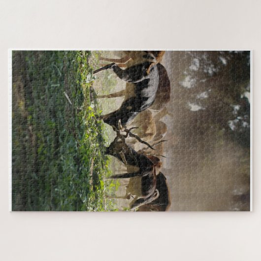 Puzzle THE Group of Grazing Deer Legpuzzel (Horizontaal)