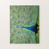 Puzzle - trotse pauw legpuzzel (Verticaal)