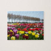 Puzzle tulips spring is in de lucht legpuzzel (Horizontaal)