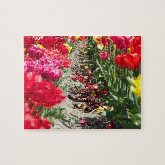 Puzzle tulpen legpuzzel (Horizontaal)