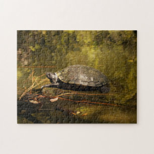 Puzzle - Turtle on Log in Pond Legpuzzel