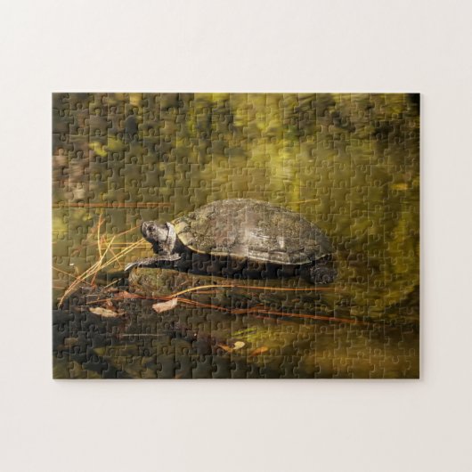 Puzzle - Turtle on Log in Pond Legpuzzel (Horizontaal)
