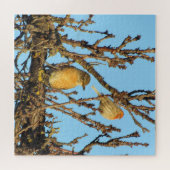 Puzzle - Vogels in takken Legpuzzel (Horizontaal)