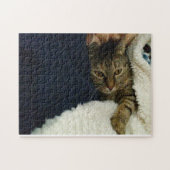 Puzzle voor kattenliefhebbers legpuzzel (Horizontaal)