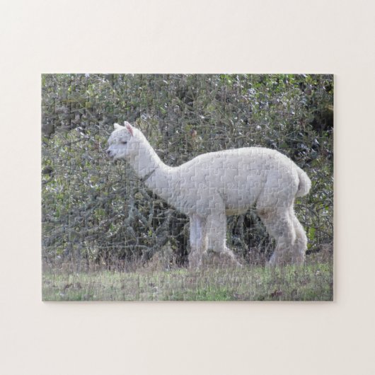 Puzzle - White Alpaca Legpuzzel (Horizontaal)