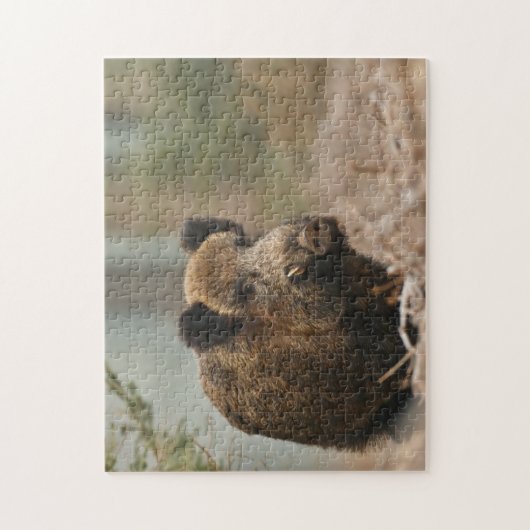 Puzzle Wildschwein Legpuzzel (Verticaal)