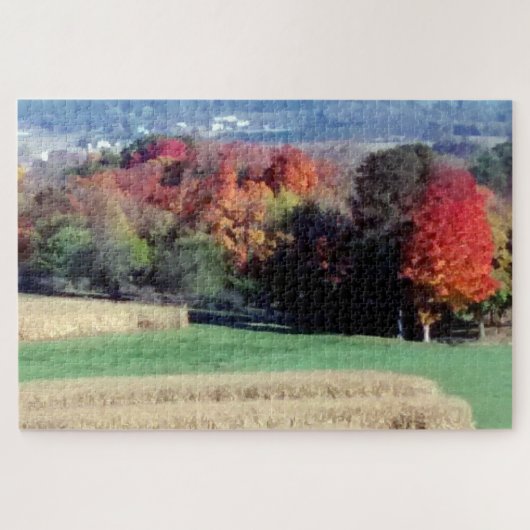 Puzzle, Wisconsin Fall Colors Legpuzzel (Horizontaal)