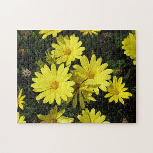 Puzzle - Yellow Daisies Legpuzzel (Horizontaal)