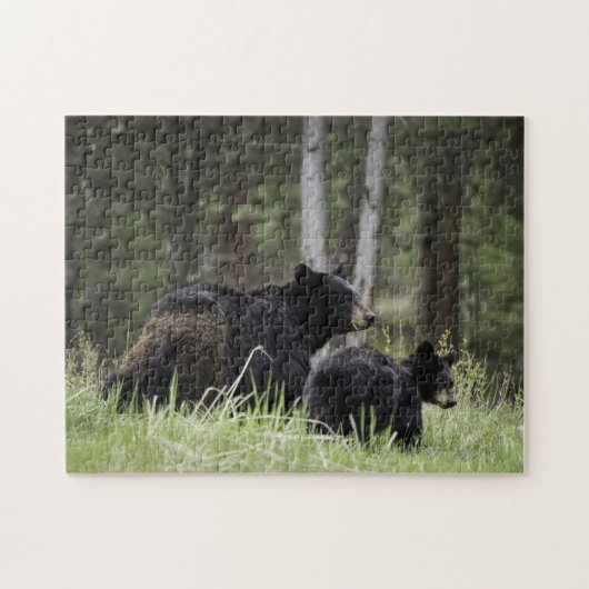 Puzzle Yellowstone Black Beer Legpuzzel (Horizontaal)