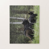 Puzzle Yellowstone Black Beer Legpuzzel (Verticaal)