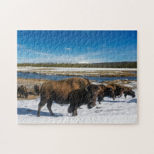 Puzzle Yellowstone Buffalo Legpuzzel (Horizontaal)