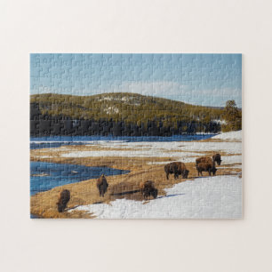 Puzzle Yellowstone Buffalo Legpuzzel