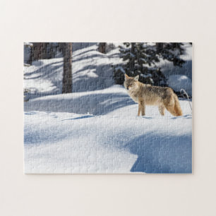 Puzzle Yellowstone Coyote Legpuzzel