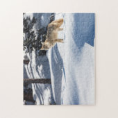 Puzzle Yellowstone Coyote Legpuzzel (Verticaal)