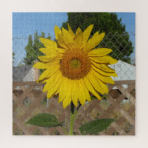 Puzzle - Zonnebloem tegen hek